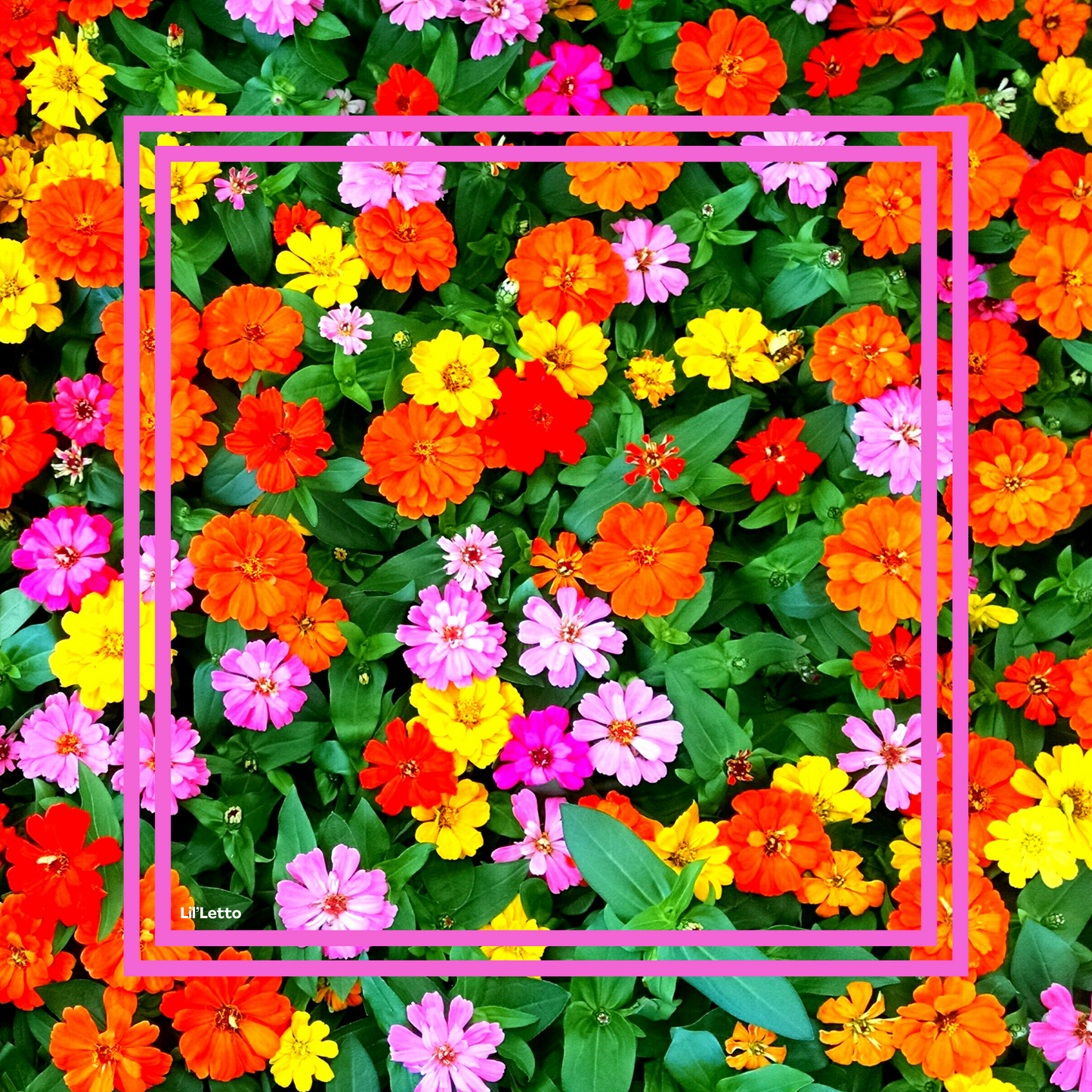 Lil'Letto - Linen Girls Scarves (60x60)